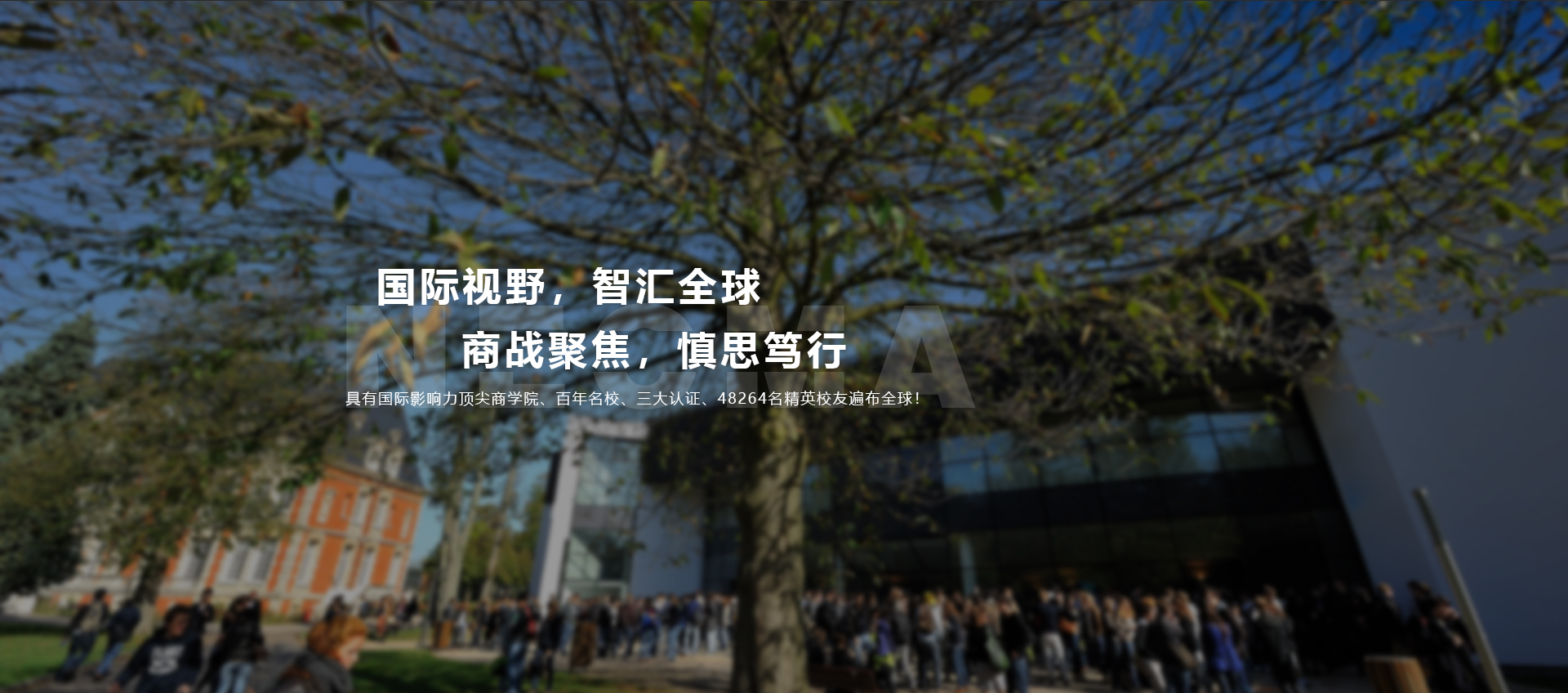 诺欧商学院学习体验